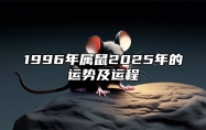 1996年属鼠2025年的运势及运程 1996年属鼠人2023年运势