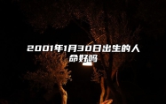 2001年1月30日出生的人命好吗 八字事业、感情婚姻、健康等运势详解