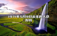 1971年5月9日出生的人命好吗 八字事业人生发展