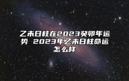 乙未日柱在2023癸卯年运势 2023年乙未日柱命运怎么样