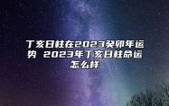 丁亥日柱在2023癸卯年运势 2023年丁亥日柱命运怎么样