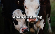 2025属牛天降异象 73年属牛女晚年靠谁