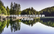 1996年11月28日出生的人命好吗 生辰八字运势、婚姻、事业分析