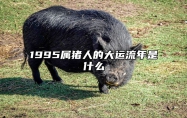 1995属猪人的大运流年是什么 属猪人跟谁一起财运好