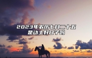 2023年农历七月二十五是动土好日子吗