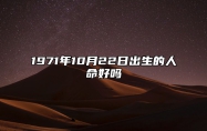 1971年10月22日出生的人命好吗 生辰八字运势查询