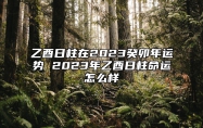 乙酉日柱在2023癸卯年运势 2023年乙酉日柱命运怎么样