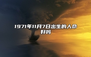 1971年11月7日出生的人命好吗 八字事业财运、感情婚姻