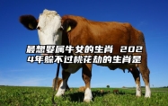 最想娶属牛女的生肖 2024年躲不过桃花劫的生肖是 属牛人2024年爱情好不好