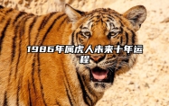 1986年属虎人未来十年运程 1986年属虎未来十年运程的每一年运势