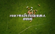 1987年6月3日出生的人命好吗 生辰八字五行解析