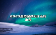 2023金箔金命为什么叫水兔 癸卯年生金箔金命详解