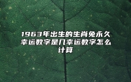 1963年出生的生肖兔永久幸运数字是几？幸运数字怎么计算？