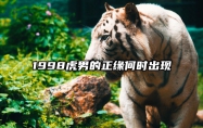 1998虎男的正缘何时出现 98年虎男什么时候来缘分