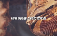 1965属蛇人的灾难年龄 1965属蛇的今年下半年的运气