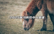 2025属马背后小人是谁 属马终身最大的贵人是谁