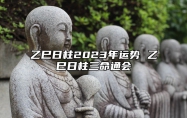 乙巳日柱2023年运势 乙巳日柱三命通会