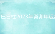 丁巳日柱2023年癸卯年运势 丁巳日柱走什么大运好