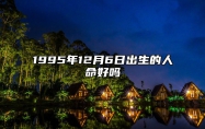 1995年12月6日出生的人命好吗 生辰八字运势、婚姻、事业分析