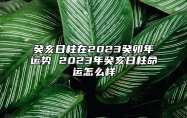 癸亥日柱在2023癸卯年运势 2023年癸亥日柱命运怎么样