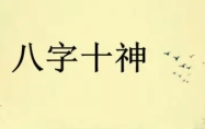 八字十神食神是什么意思 八字十神食神代表什么