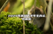 2024年属鼠下半年生肖运势解析