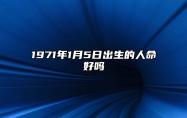 1971年1月5日出生的人命好吗 此日生辰八字详解
