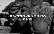 1972年4月20日出生的人命好吗 生辰八字解析