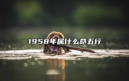 1958年属什么命五行 1958年属什么生肖五行属什么