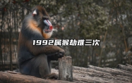 1992属猴劫难三次 92年猴哪年有添丁之喜