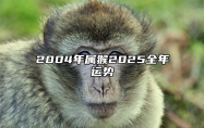 2004年属猴2025全年运势 2004年属猴未来5年运势