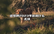 塔罗牌2023年你和什么无缘 2023年塔罗牌占卜暧昧关系