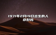 1971年2月19日出生的人命好吗 此日不同时辰八字运势分析