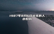 1987年8月6日出生的人命好吗 今日生辰八字