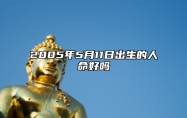 2005年5月11日出生的人命好吗 今日生辰八字