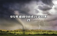 95年猪和98虎八字合不合 生肖猪和生肖虎姻缘相配吗
