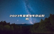 2023年是黑兔年命运好吗 对待感情要谨慎