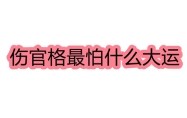 伤官格最怕什么大运 伤官格身弱最怕什么大运