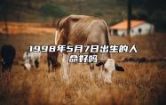 1998年5月7日出生的人命好吗 今日不同时辰生辰八字解析