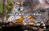 1986年属虎2025年的运势 1986年属虎2025年的运势如何?