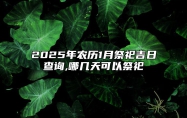 2025年农历1月祭祀吉日查询,哪几天可以祭祀 适合祭祀的黄道吉日