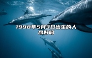 1998年5月3日出生的人命好吗 命运如何五行缺什么