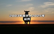 2003年属羊人2025年运势 2003年属羊人2025年运势运程