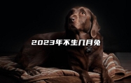 2023年不生几月兔 2023年属兔金箔金命出生几月好