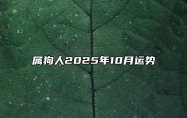 属狗人2025年10月运势 属狗2025年属狗每月运势和运