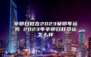 辛卯日柱在2023癸卯年运势 2023年辛卯日柱命运怎么样