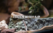 1966年属马什么命 1966年属马什么命用啥微信头像