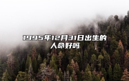 1995年12月31日出生的人命好吗 今日生辰八字查询