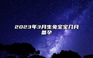 2023年3月生兔宝宝几月备孕 2023年3月出生孩子性格