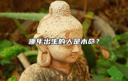 哪年出生的人是木命？ 哪年出生的人是木命人,81年出生的人是什么命